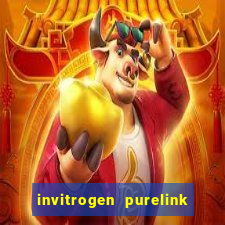 invitrogen purelink genomic dna mini kit